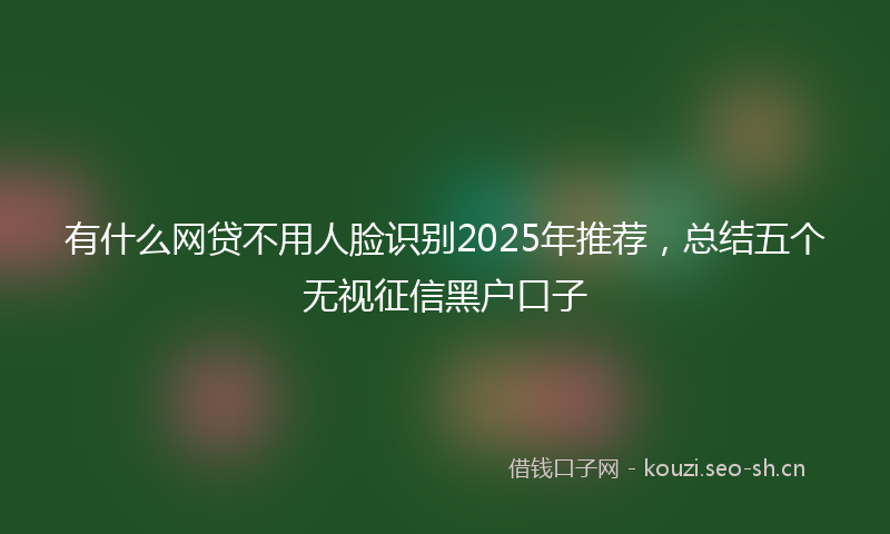 有什么网贷不用人脸识别2025年推荐，总结五个无视征信黑户口子