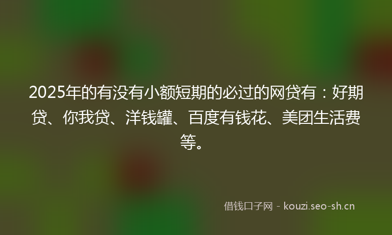 2025年的有没有小额短期的必过的网贷有：好期贷、你我贷、洋钱罐、百度有钱花、美团生活费等。