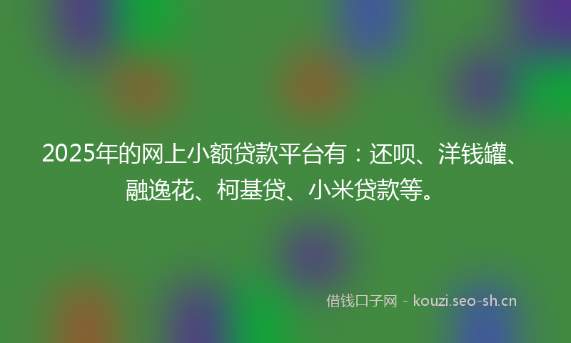 2025年的网上小额贷款平台有：还呗、洋钱罐、融逸花、柯基贷、小米贷款等。