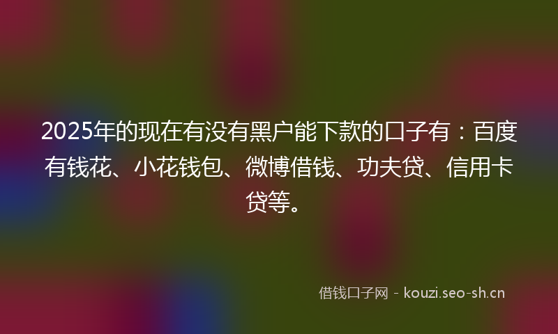 2025年的现在有没有黑户能下款的口子有：百度有钱花、小花钱包、微博借钱、功夫贷、信用卡贷等。