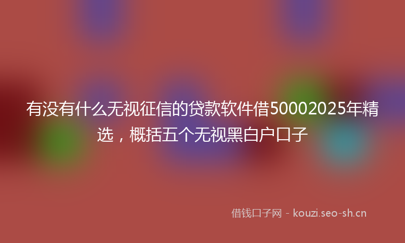 有没有什么无视征信的贷款软件借50002025年精选，概括五个无视黑白户口子