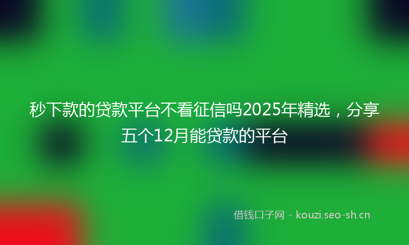 秒下款的贷款平台不看征信吗2025年精选，分享五个12月能贷款的平台