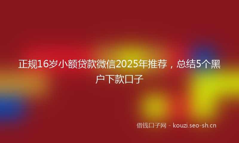 正规16岁小额贷款微信2025年推荐，总结5个黑户下款口子