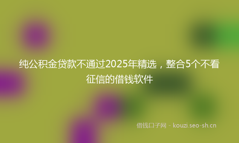 纯公积金贷款不通过2025年精选，整合5个不看征信的借钱软件