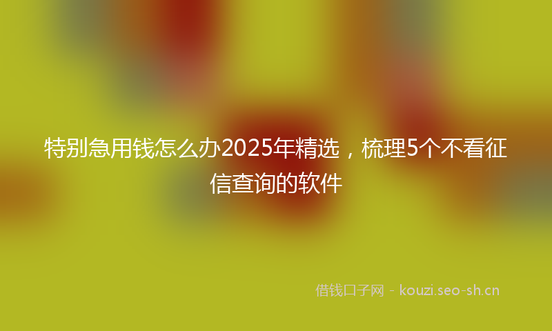 特别急用钱怎么办2025年精选，梳理5个不看征信查询的软件