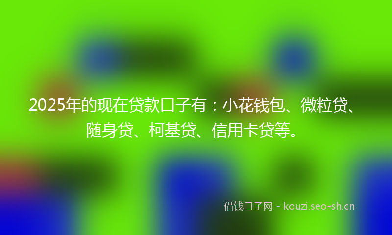 2025年的现在贷款口子有：小花钱包、微粒贷、随身贷、柯基贷、信用卡贷等。