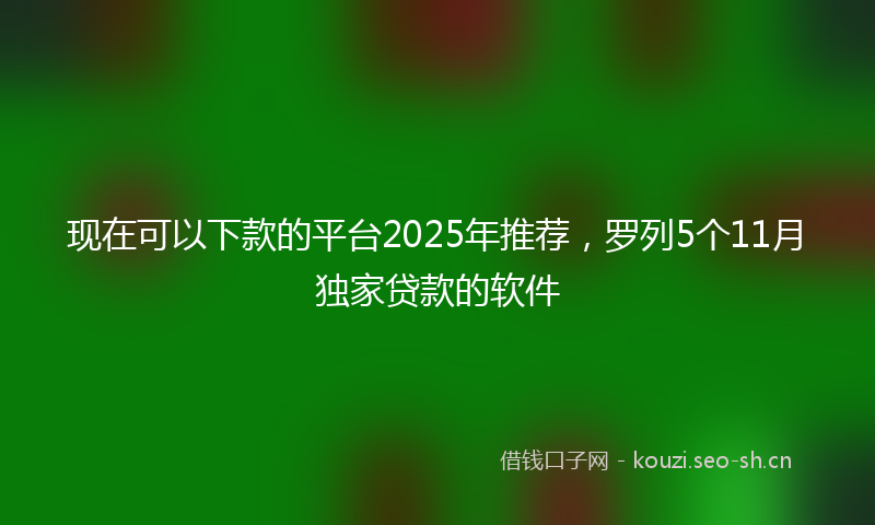 现在可以下款的平台2025年推荐，罗列5个11月独家贷款的软件