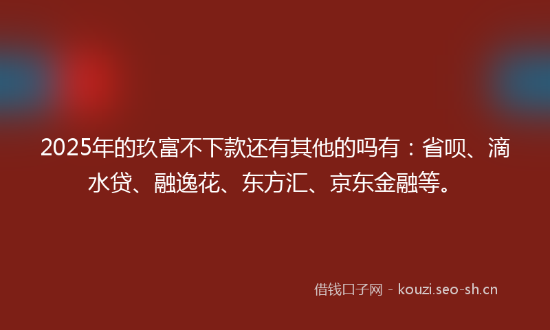 2025年的玖富不下款还有其他的吗有：省呗、滴水贷、融逸花、东方汇、京东金融等。