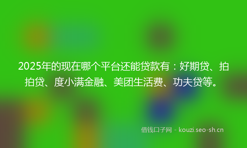 2025年的现在哪个平台还能贷款有：好期贷、拍拍贷、度小满金融、美团生活费、功夫贷等。