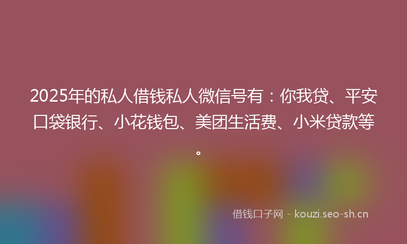 2025年的私人借钱私人微信号有：你我贷、平安口袋银行、小花钱包、美团生活费、小米贷款等。