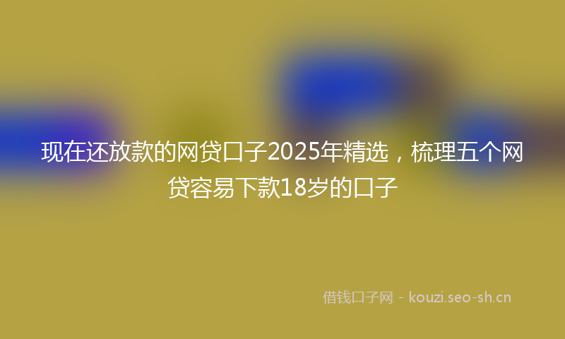 现在还放款的网贷口子2025年精选，梳理五个网贷容易下款18岁的口子