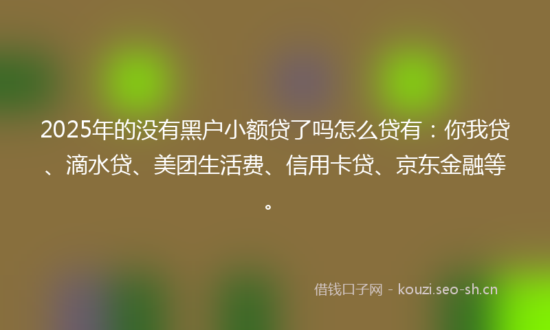 2025年的没有黑户小额贷了吗怎么贷有：你我贷、滴水贷、美团生活费、信用卡贷、京东金融等。