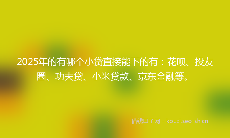 2025年的有哪个小贷直接能下的有：花呗、投友圈、功夫贷、小米贷款、京东金融等。