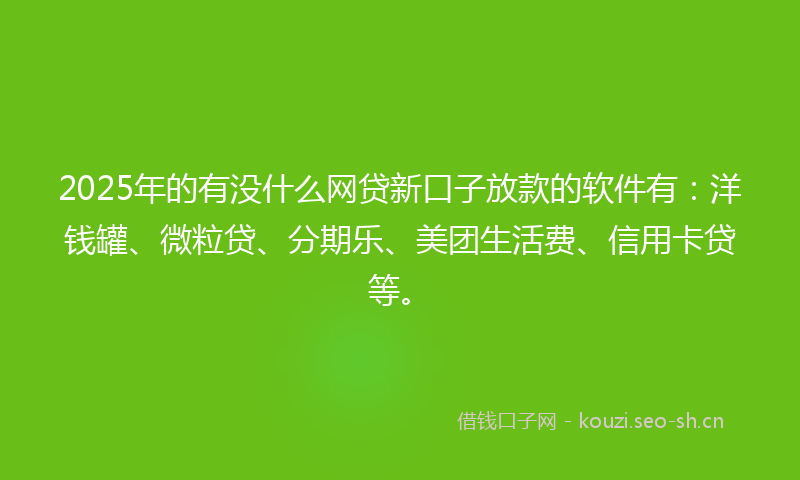 2025年的有没什么网贷新口子放款的软件有:洋钱罐、微粒贷、分期乐、美团生活费、信用卡贷等。