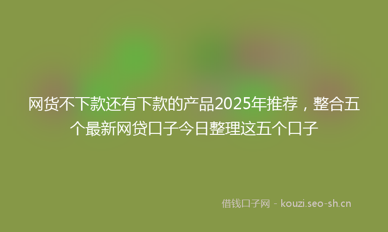 网货不下款还有下款的产品2025年推荐，整合五个最新网贷口子今日整理这五个口子