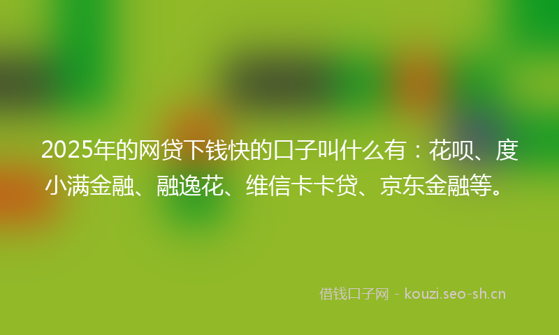 2025年的网贷下钱快的口子叫什么有：花呗、度小满金融、融逸花、维信卡卡贷、京东金融等。