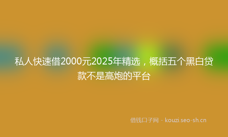 私人快速借2000元2025年精选，概括五个黑白贷款不是高炮的平台
