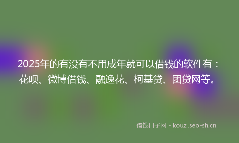 2025年的有没有不用成年就可以借钱的软件有：花呗、微博借钱、融逸花、柯基贷、团贷网等。