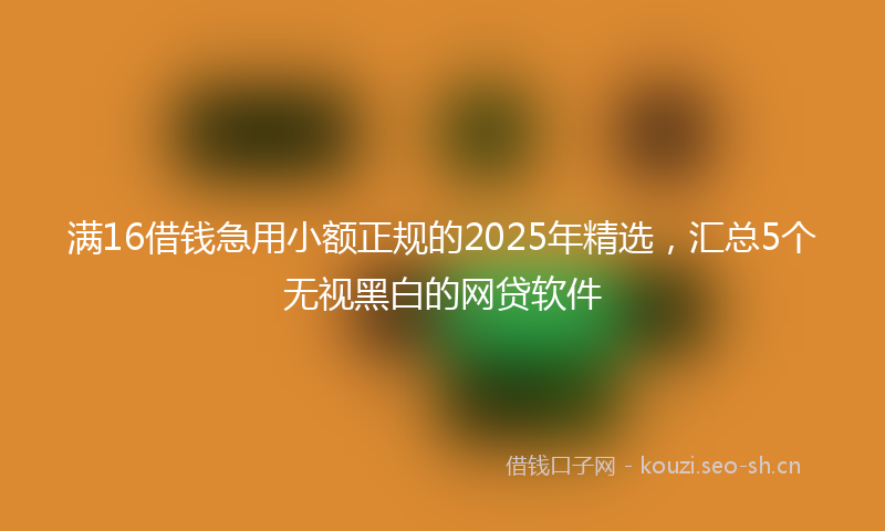 满16借钱急用小额正规的2025年精选，汇总5个无视黑白的网贷软件