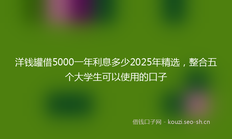 洋钱罐借5000一年利息多少2025年精选，整合五个大学生可以使用的口子