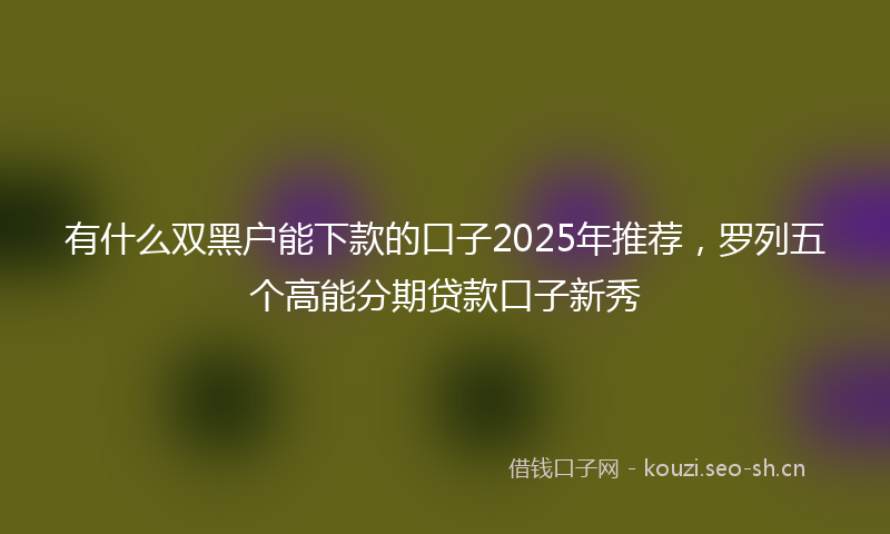 有什么双黑户能下款的口子2025年推荐，罗列五个高能分期贷款口子新秀