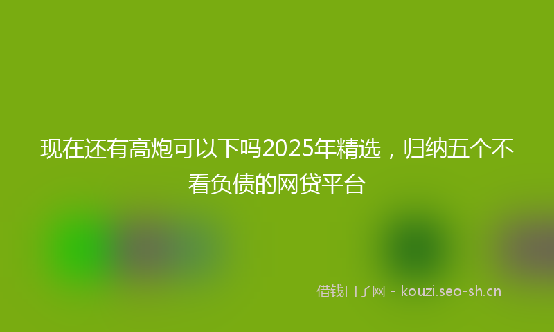 现在还有高炮可以下吗2025年精选，归纳五个不看负债的网贷平台