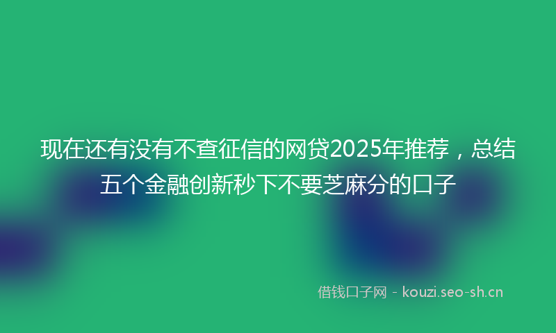 现在还有没有不查征信的网贷2025年推荐，总结五个金融创新秒下不要芝麻分的口子