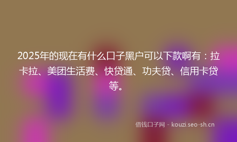 2025年的现在有什么口子黑户可以下款啊有：拉卡拉、美团生活费、快贷通、功夫贷、信用卡贷等。