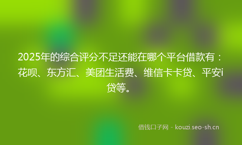 2025年的综合评分不足还能在哪个平台借款有：花呗、东方汇、美团生活费、维信卡卡贷、平安i贷等。