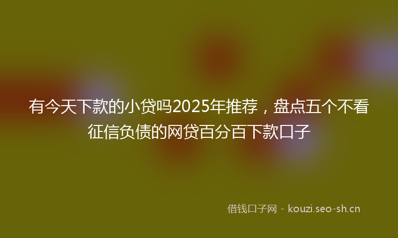 有今天下款的小贷吗2025年推荐，盘点五个不看征信负债的网贷百分百下款口子
