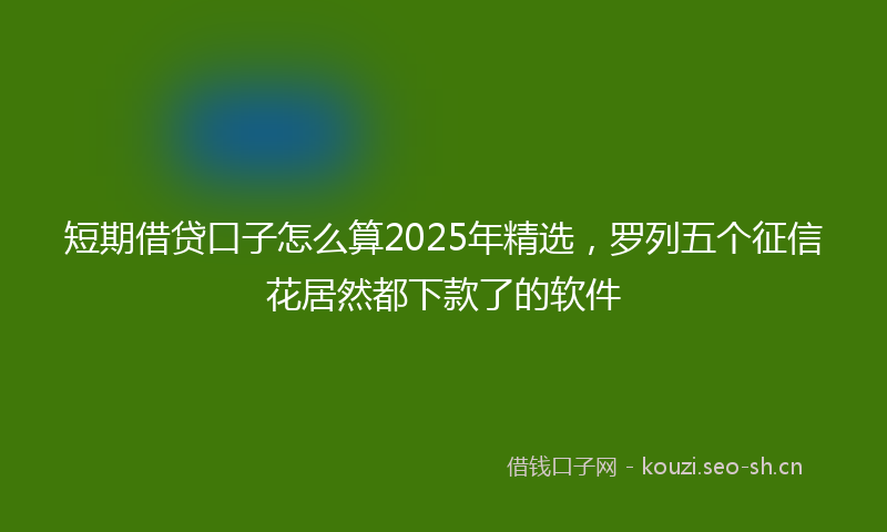 短期借贷口子怎么算2025年精选，罗列五个征信花居然都下款了的软件
