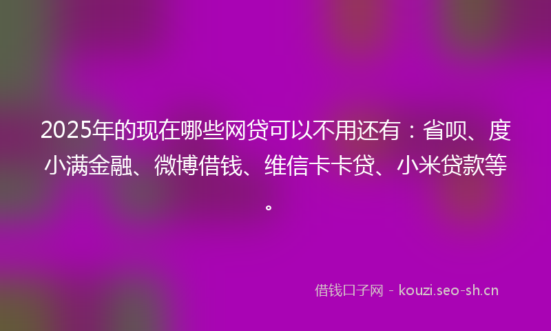 2025年的现在哪些网贷可以不用还有：省呗、度小满金融、微博借钱、维信卡卡贷、小米贷款等。