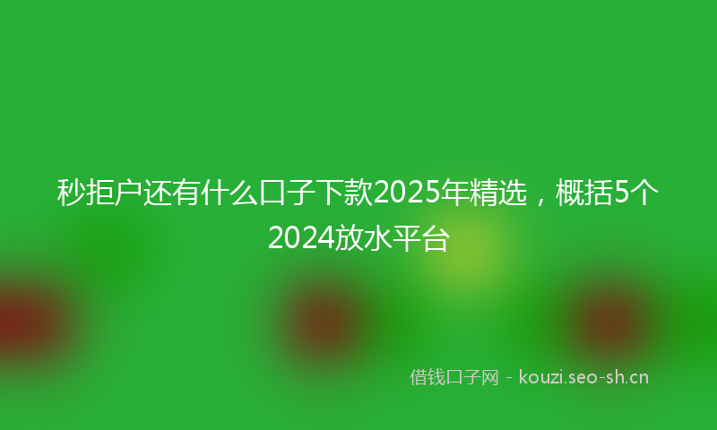 秒拒户还有什么口子下款2025年精选，概括5个2024放水平台