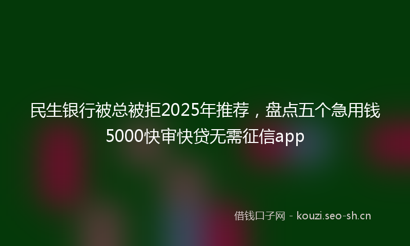 民生银行被总被拒2025年推荐，盘点五个急用钱5000快审快贷无需征信app