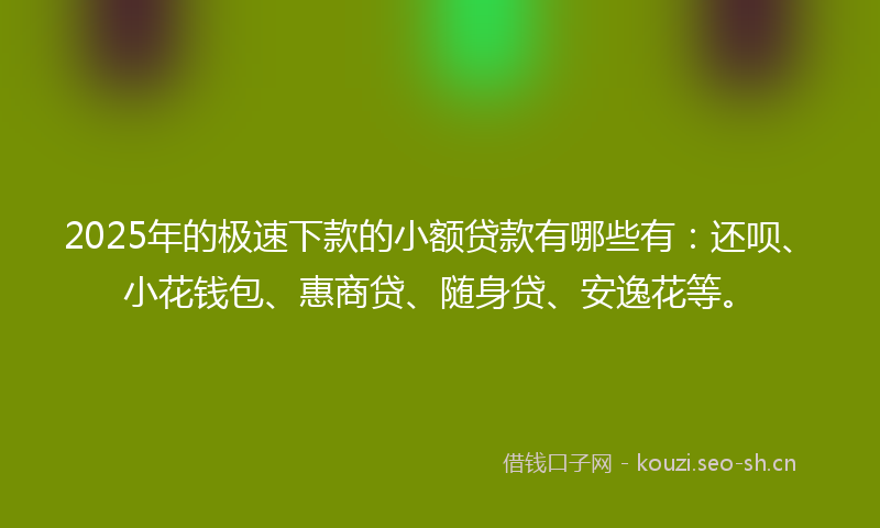 2025年的极速下款的小额贷款有哪些有：还呗、小花钱包、惠商贷、随身贷、安逸花等。