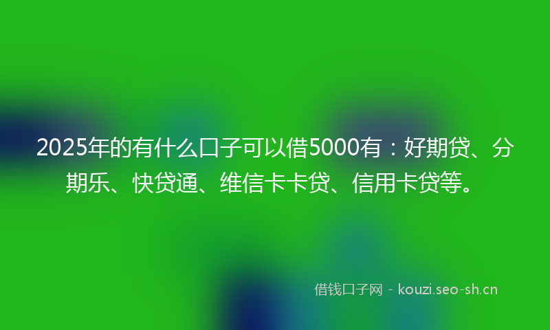 2025年的有什么口子可以借5000有：好期贷、分期乐、快贷通、维信卡卡贷、信用卡贷等。