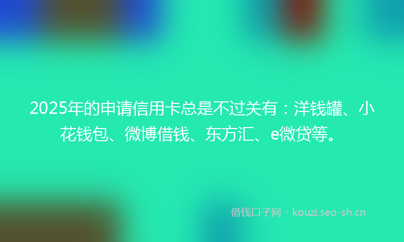 2025年的申请信用卡总是不过关有：洋钱罐、小花钱包、微博借钱、东方汇、e微贷等。