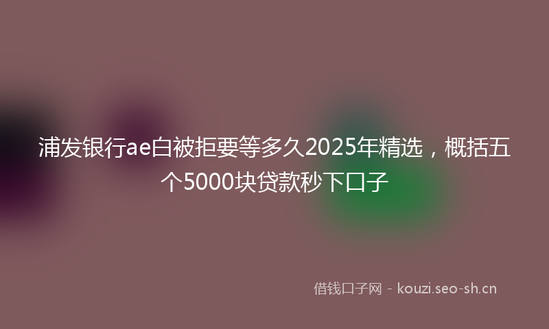 浦发银行ae白被拒要等多久2025年精选，概括五个5000块贷款秒下口子