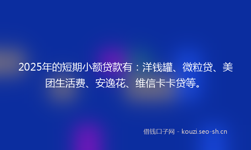 2025年的短期小额贷款有：洋钱罐、微粒贷、美团生活费、安逸花、维信卡卡贷等。