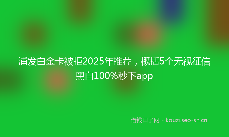 浦发白金卡被拒2025年推荐，概括5个无视征信黑白100%秒下app