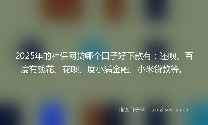 2025年的社保网贷哪个口子好下款有：还呗、百度有钱花、花呗、度小满金融、小米贷款等。