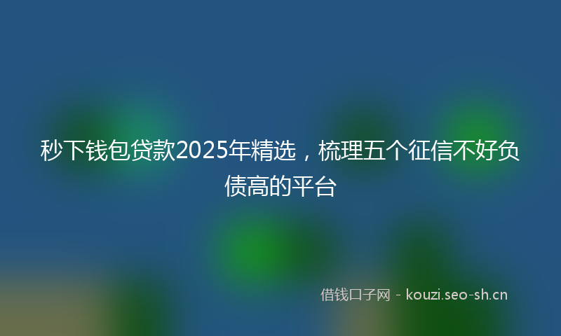 秒下钱包贷款2025年精选，梳理五个征信不好负债高的平台