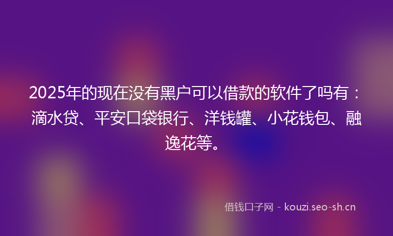 2025年的现在没有黑户可以借款的软件了吗有：滴水贷、平安口袋银行、洋钱罐、小花钱包、融逸花等。