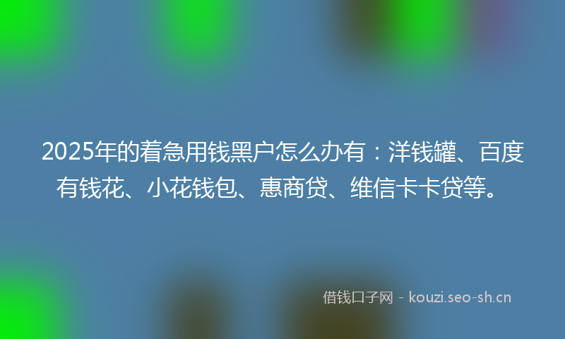 2025年的着急用钱黑户怎么办有：洋钱罐、百度有钱花、小花钱包、惠商贷、维信卡卡贷等。
