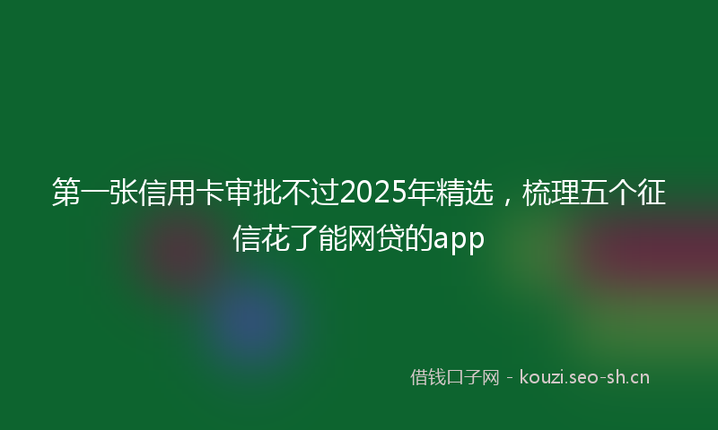 第一张信用卡审批不过2025年精选，梳理五个征信花了能网贷的app