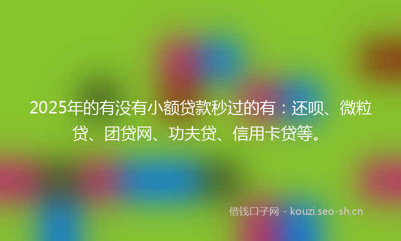 2025年的有没有小额贷款秒过的有：还呗、微粒贷、团贷网、功夫贷、信用卡贷等。