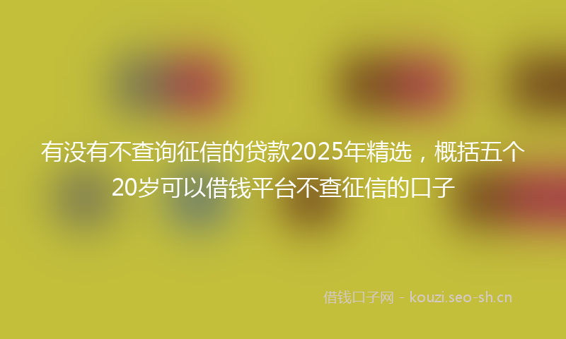 有没有不查询征信的贷款2025年精选，概括五个20岁可以借钱平台不查征信的口子