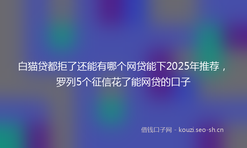 白猫贷都拒了还能有哪个网贷能下2025年推荐，罗列5个征信花了能网贷的口子