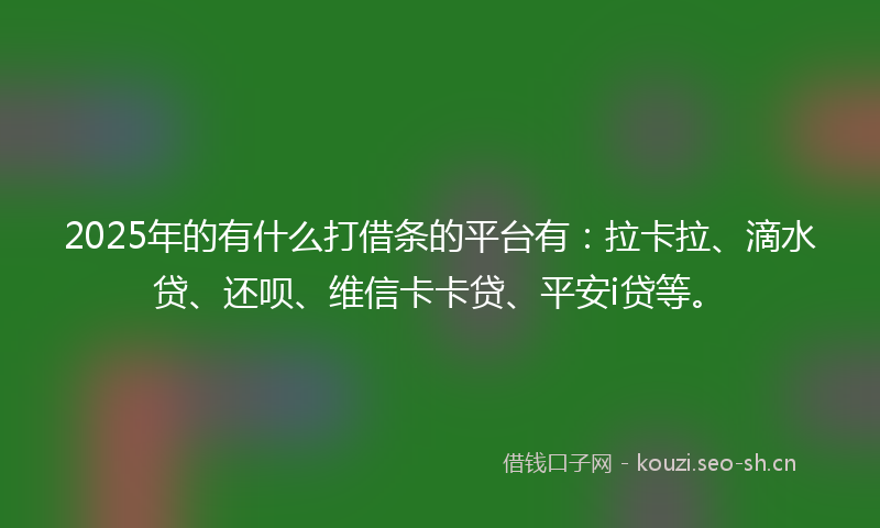 2025年的有什么打借条的平台有：拉卡拉、滴水贷、还呗、维信卡卡贷、平安i贷等。