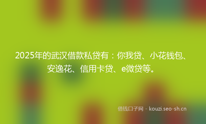 2025年的武汉借款私贷有：你我贷、小花钱包、安逸花、信用卡贷、e微贷等。